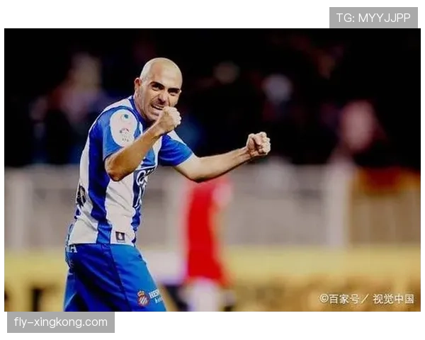 加亚防守价值解析：本赛季稳健表现背后的机制与上限