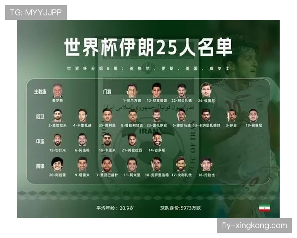 传统强队世界杯阵容身价构成揭秘